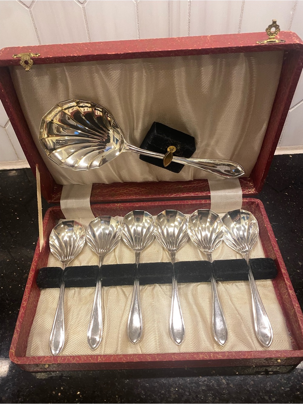 Silverplate Shell-Pattern Dessert or Fruit Spoon Set - in presentation box